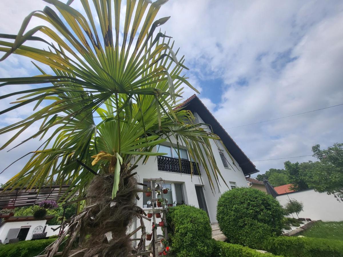 Vila Jovana Vrdnik Dış mekan fotoğraf