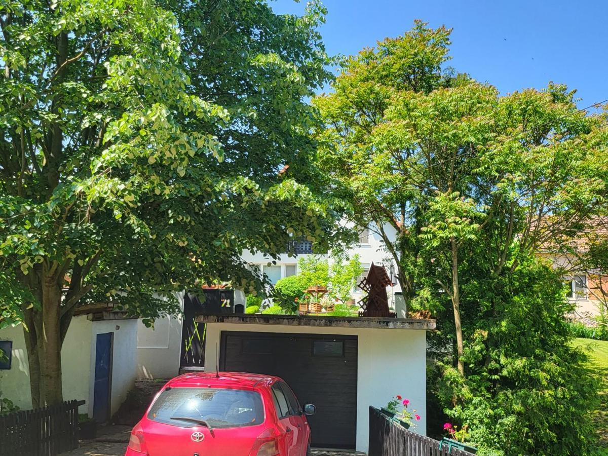 Vila Jovana Vrdnik Dış mekan fotoğraf