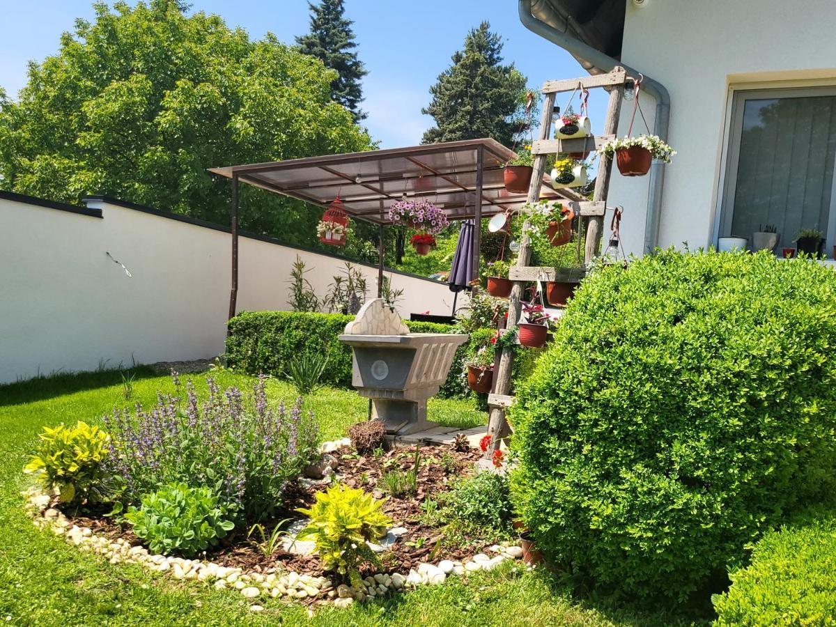 Vila Jovana Vrdnik Dış mekan fotoğraf