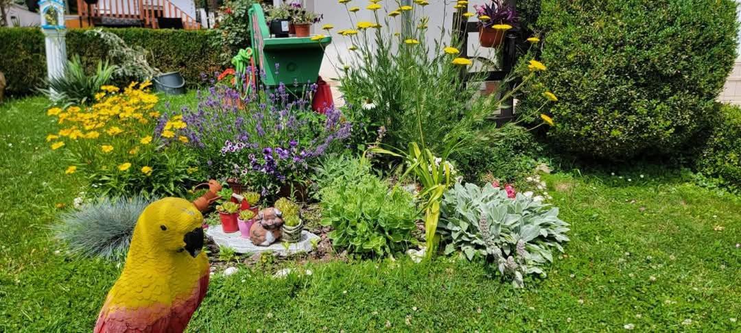 Vila Jovana Vrdnik Dış mekan fotoğraf