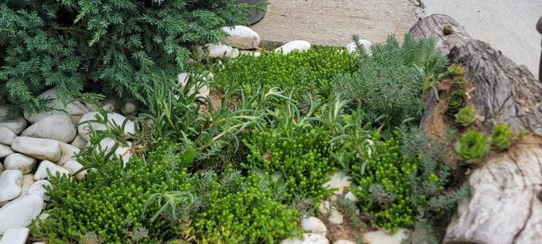 Vila Jovana Vrdnik Dış mekan fotoğraf