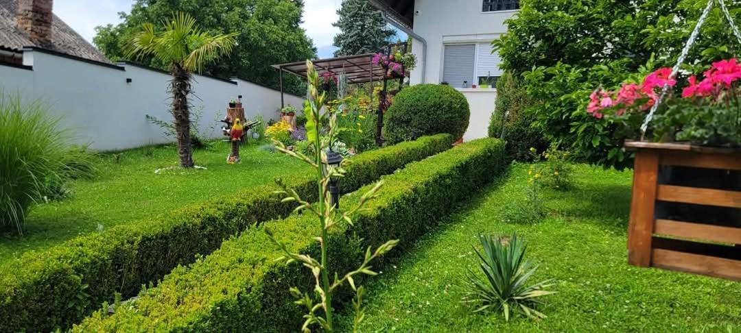 Vila Jovana Vrdnik Dış mekan fotoğraf