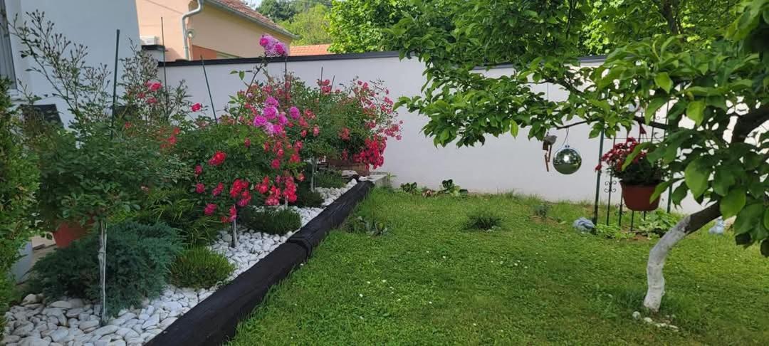 Vila Jovana Vrdnik Dış mekan fotoğraf