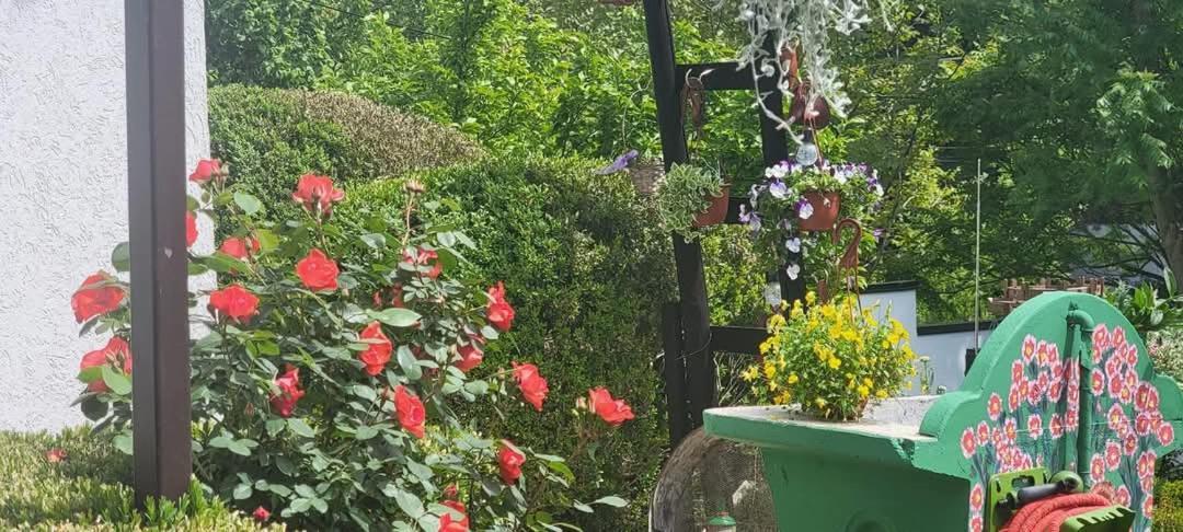 Vila Jovana Vrdnik Dış mekan fotoğraf