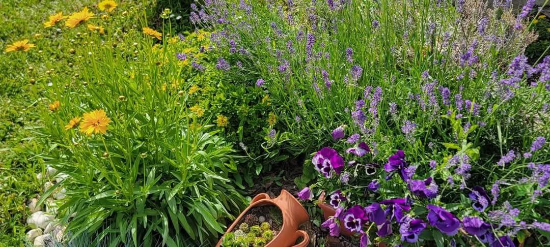Vila Jovana Vrdnik Dış mekan fotoğraf