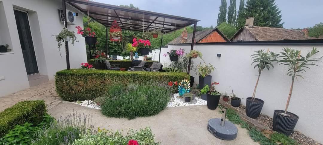 Vila Jovana Vrdnik Dış mekan fotoğraf