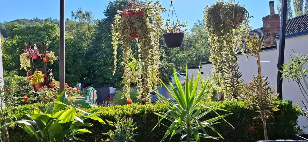 Vila Jovana Vrdnik Dış mekan fotoğraf