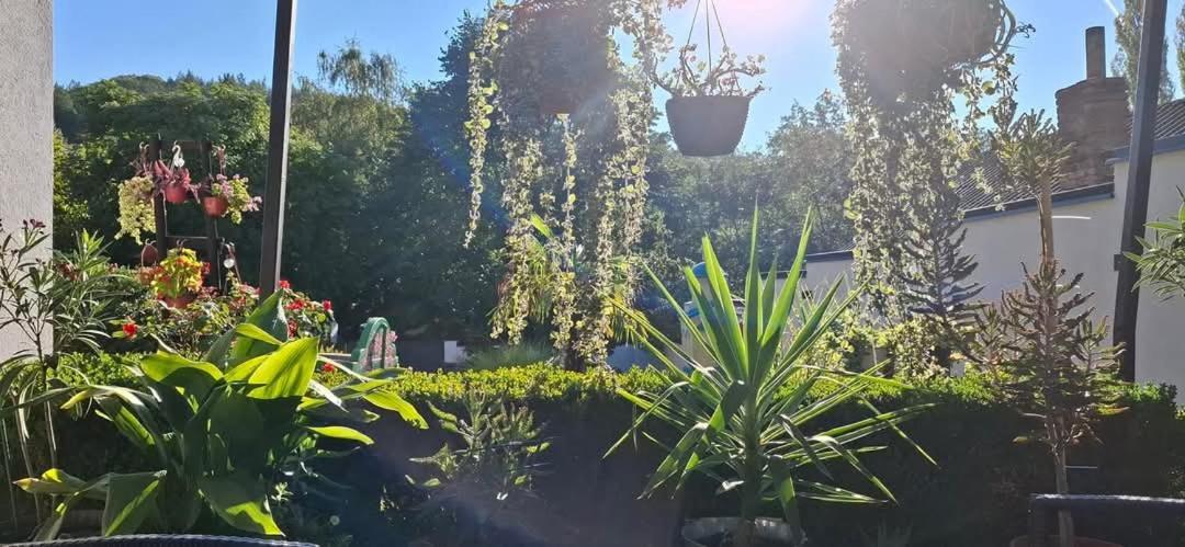 Vila Jovana Vrdnik Dış mekan fotoğraf